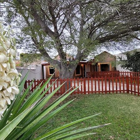 El Patio Del Aromo Διαμέρισμα Πουέρτο Μαντρίν Εξωτερικό φωτογραφία